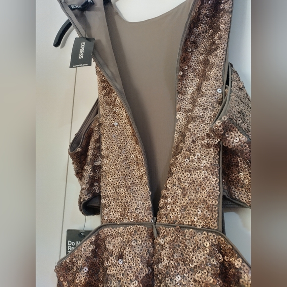 Express Shimmery Sequin Dress NWT - Picture 10 of 10